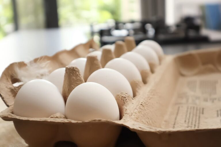 eggs in carton horizontal